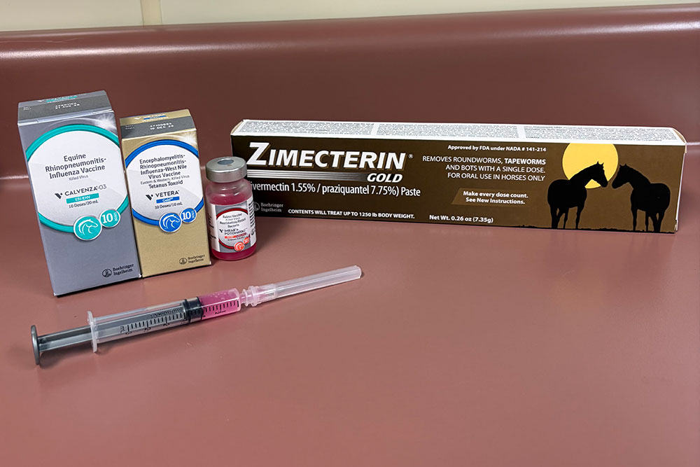 Wellness Examinations