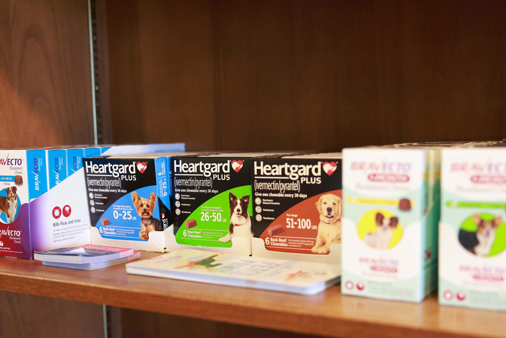 Heartworm Prevention