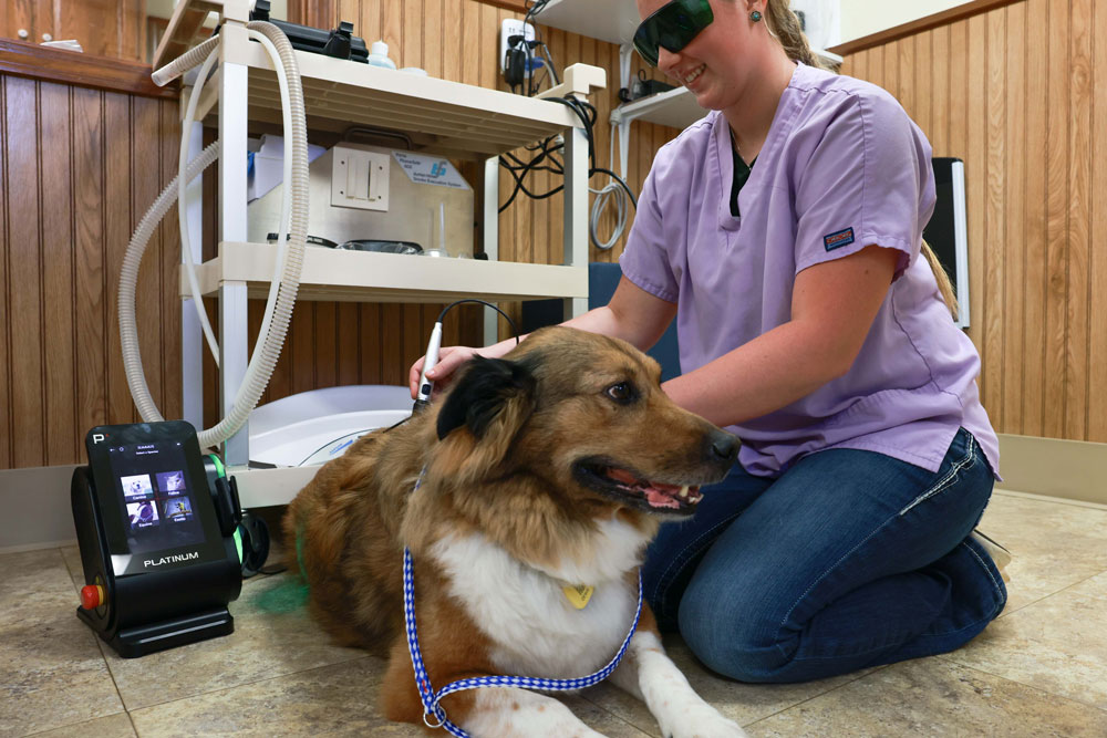 K-Laser Therapy